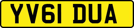 YV61DUA