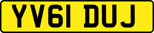 YV61DUJ