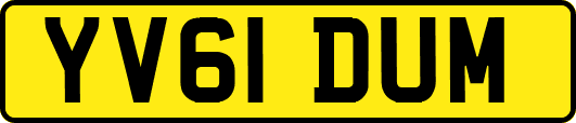 YV61DUM
