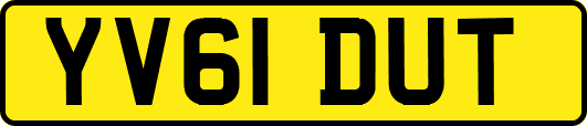 YV61DUT