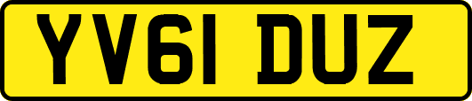 YV61DUZ