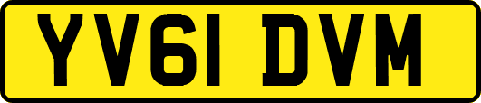 YV61DVM