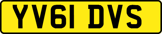 YV61DVS