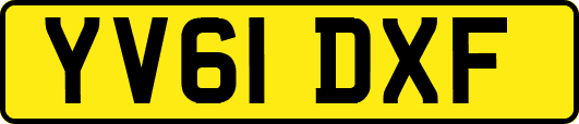 YV61DXF