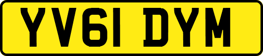 YV61DYM