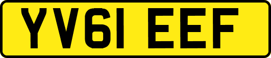 YV61EEF