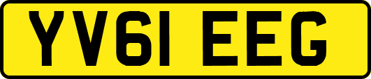 YV61EEG