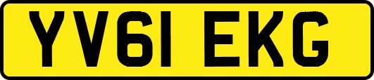 YV61EKG