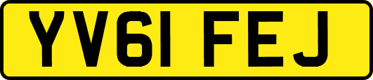 YV61FEJ