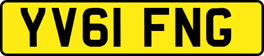 YV61FNG