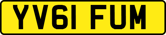 YV61FUM