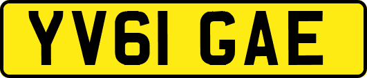YV61GAE