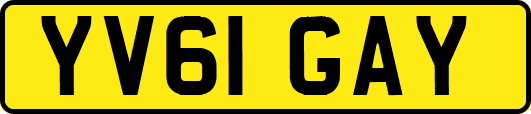 YV61GAY