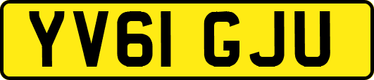 YV61GJU