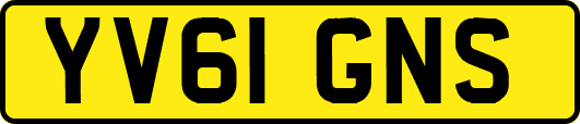 YV61GNS