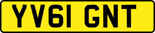 YV61GNT