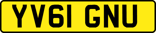 YV61GNU