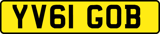 YV61GOB
