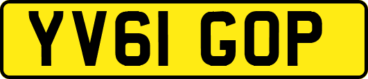 YV61GOP