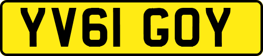 YV61GOY