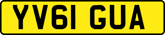 YV61GUA