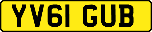 YV61GUB