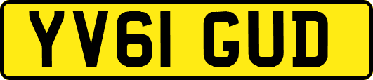 YV61GUD