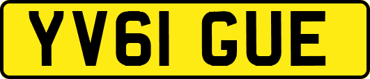 YV61GUE