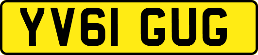 YV61GUG