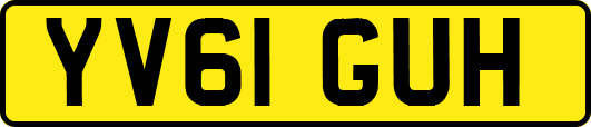 YV61GUH