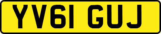 YV61GUJ