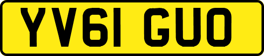 YV61GUO