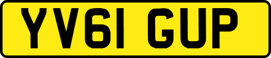 YV61GUP