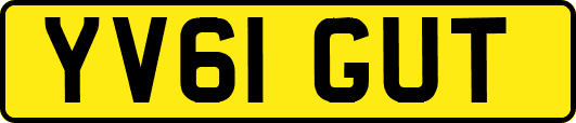 YV61GUT