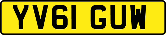 YV61GUW