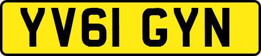YV61GYN