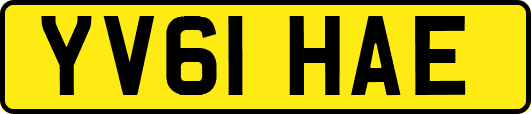 YV61HAE