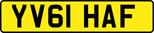 YV61HAF