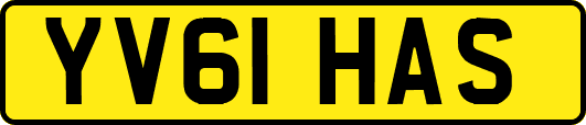 YV61HAS