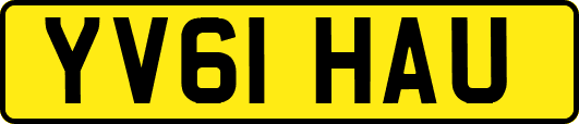 YV61HAU