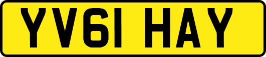 YV61HAY