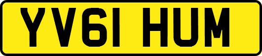 YV61HUM