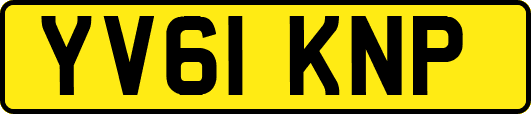 YV61KNP