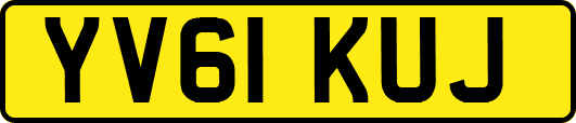 YV61KUJ