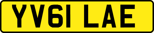 YV61LAE