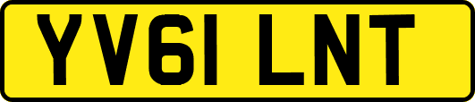 YV61LNT
