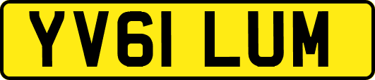 YV61LUM