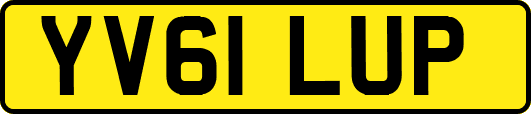 YV61LUP