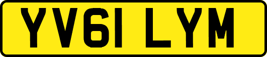YV61LYM