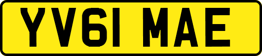 YV61MAE